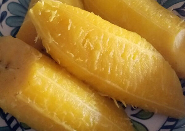 Boiled Ripe Plantain