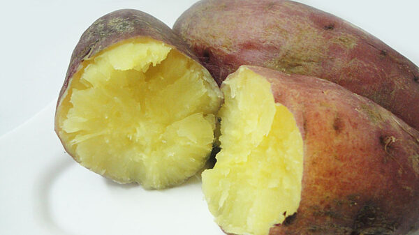 Boiled Sweet Potatoes