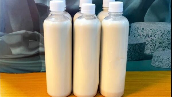 Tiger Nut Milk (Kunu Aya)
